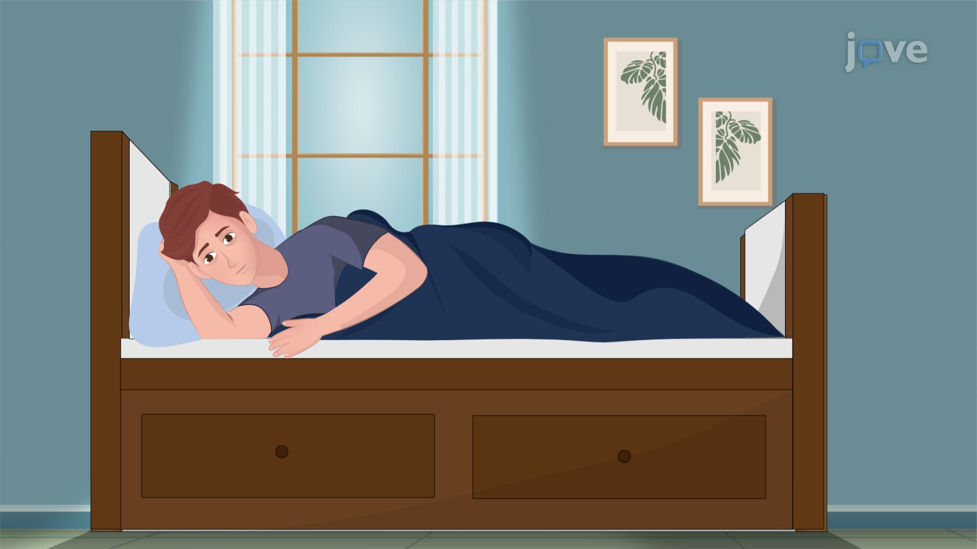 Sedatives and Hypnotics Drugs: Miscellaneous Agents