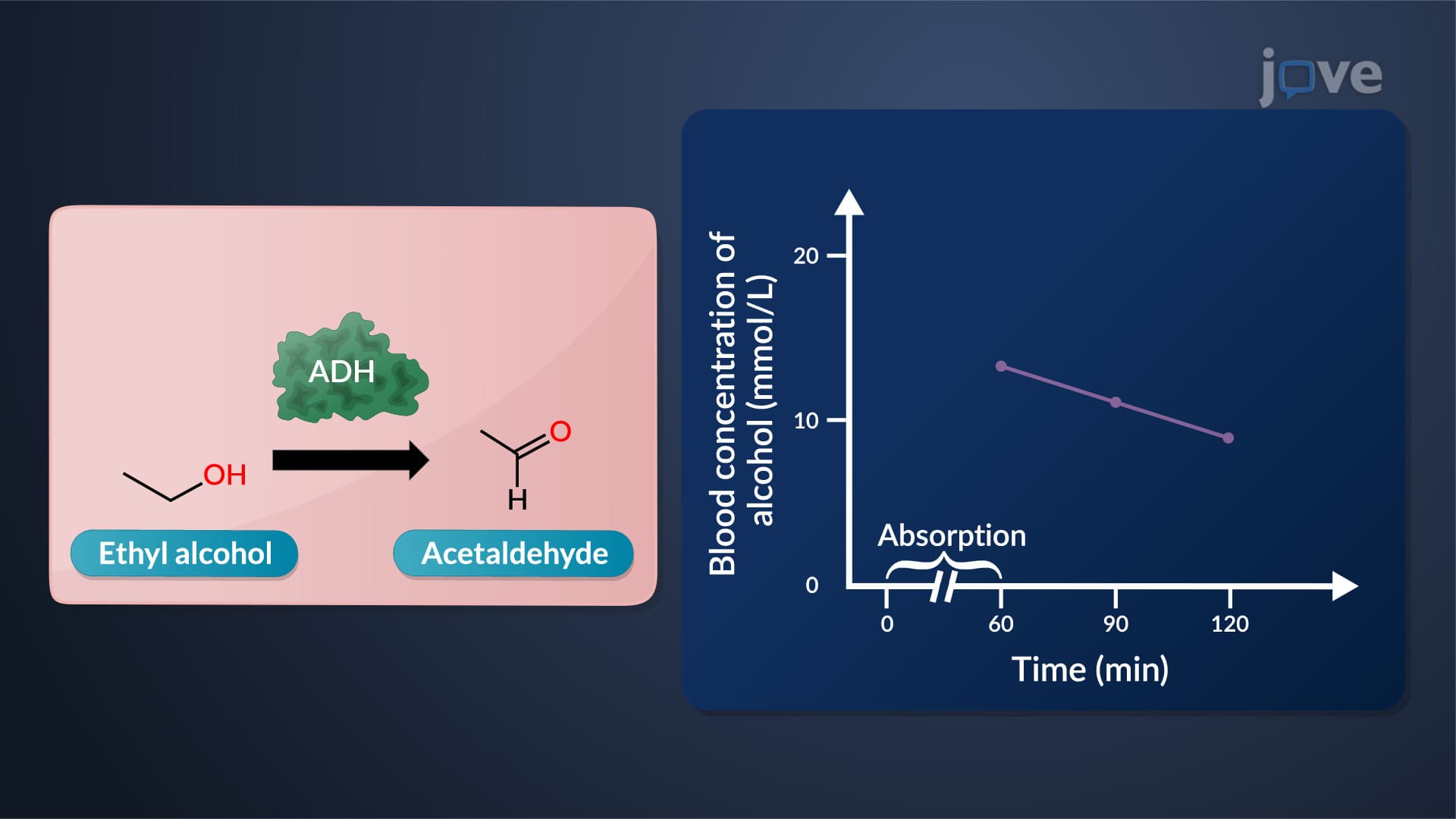 Fundamental Mathematical Principles in Pharmacokinetics: Rate and Order of Reaction