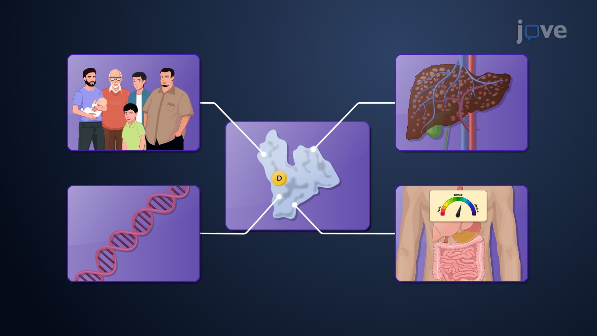 Factors Affecting Protein-Drug Binding: Patient-Related Factors