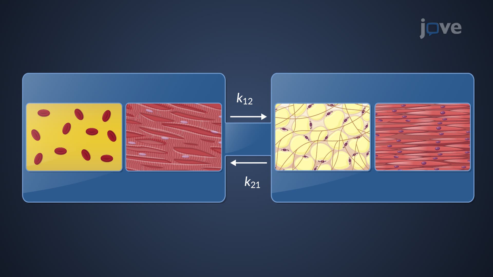 Model Approaches for Pharmacokinetic Data: Compartment Models